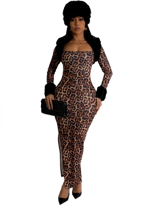 Chic Leopard Print Top & Dress Set
