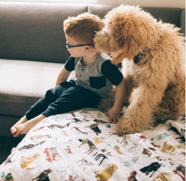 Cute high-definition digital printed blankets for various puppies