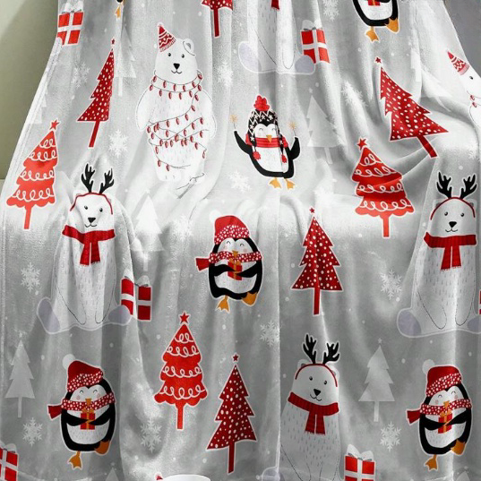 Fashionable And Casual Christmas Print Home Blanket