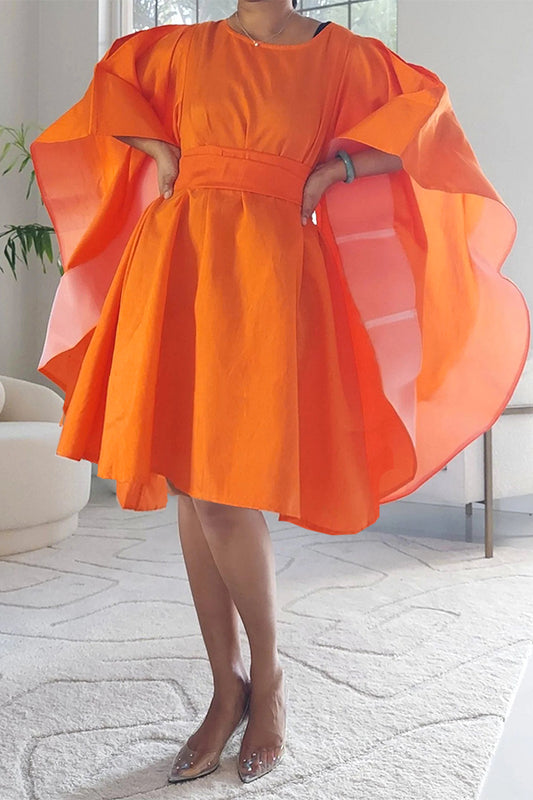 Chic Belted Ruffle Hem Dress